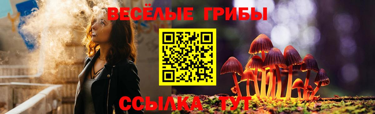 Галлюциногенные грибы Psilocybe Десногорск